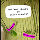 Image for article titled Use the Right Lights to Grow a Jungle In Your Dark Apartment